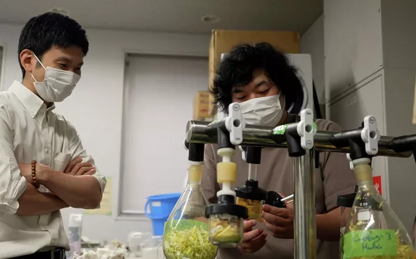 乾燥させた野菜や果物の皮を粉砕させる酒井准教授と町田CEO（日本・東京都千代田区、26日） - Sputnik 日本