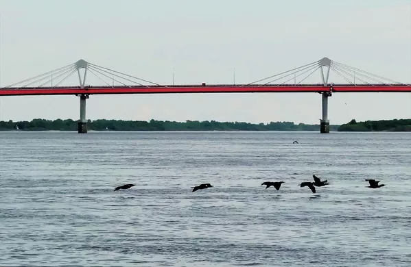 10日に開通したブラゴヴェシチェンスク・黒河大橋 10日に開通したブラゴヴェシチェンスク・黒河大橋 - Sputnik 日本