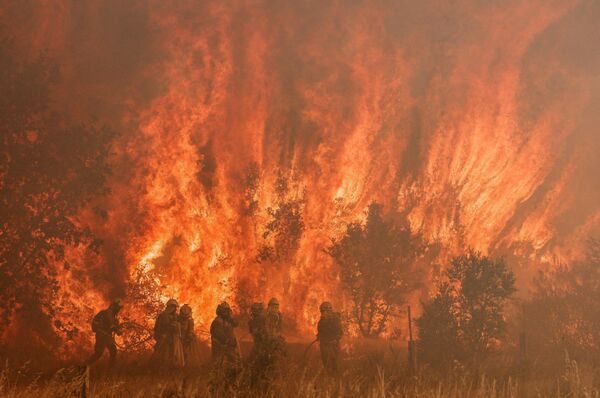 熱波により発生した山火事の消火活動にあたる消防隊員ら（スペイン・サモラ県、18日） - Sputnik 日本