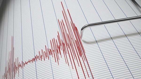 カムチャッカでM5.4の地震 - Sputnik 日本