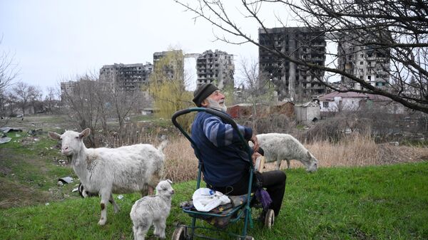 マリウポリ郊外でヤギを飼う地元民 - Sputnik 日本