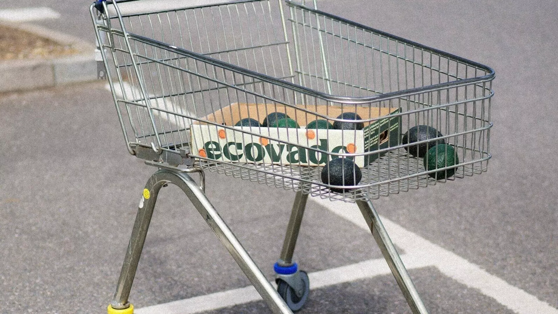 Ecovado - альтернативная замена авокадо