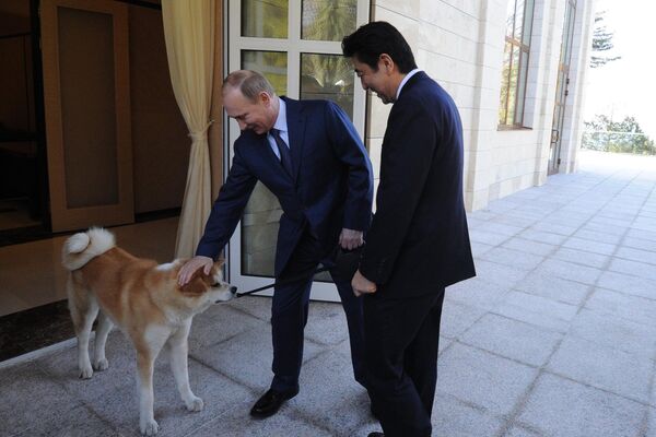 2014年2月8日 、ウラジーミル・プーチン大統領と安倍晋三首相がソチのボチャロフ・ルチェイ邸で会談。プーチン大統領の愛犬は秋田犬で、「ゆめ」と名付けられている 2014年2月8日 、ウラジーミル・プーチン大統領と安倍晋三首相がソチのボチャロフ・ルチェイ邸で会談。プーチン大統領の愛犬は秋田犬で、「ゆめ」と名付けられている - Sputnik 日本