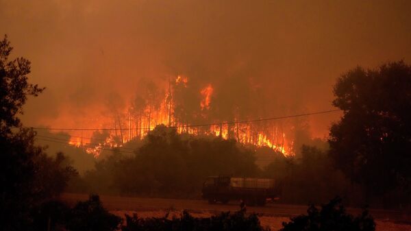 水タンクを積んで火災が発生した森林を走るトラック（ポルトガル・ベンポスタ、13日） - Sputnik 日本