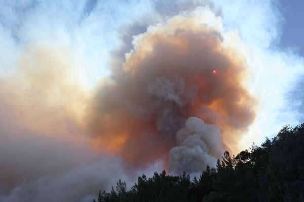 火災が発生した森林から立ち上る煙（トルコ・ムーラ県、13日） - Sputnik 日本