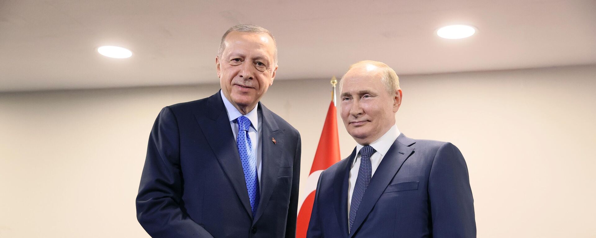 トルコのエルドアン大統領とロシアのプーチン大統領 - Sputnik 日本, 1920, 23.09.2022