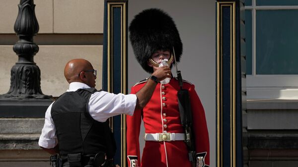 バッキンガム宮殿の警備にあたる衛兵に水を与える警察官（英ロンドン、18日） - Sputnik 日本