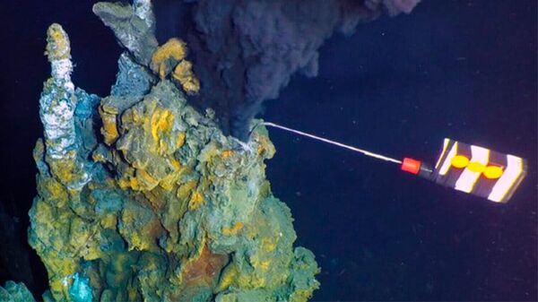 太平洋で大規模かつ非常に高い温度の熱水噴出孔が発見される - Sputnik 日本