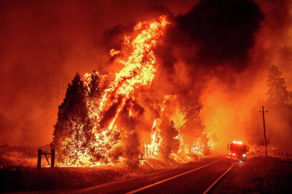 燃える森林（カリフォルニア州・マリポサ郡、22日） - Sputnik 日本