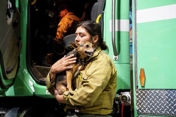 避難区域で保護した犬を抱きかかえる消防隊員（カリフォルニア州・マリポサ郡、23日） - Sputnik 日本