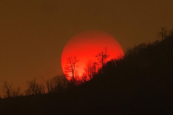 火災が発生している森林に沈む太陽（カリフォルニア州・マリポサ郡、24日） - Sputnik 日本