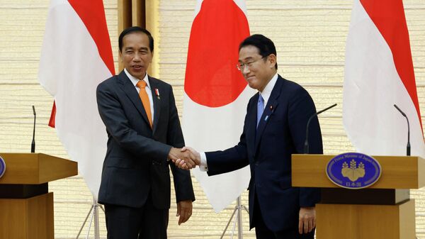 インドネシアのジョコ大統領と会談した日本の岸田文雄首相 - Sputnik 日本