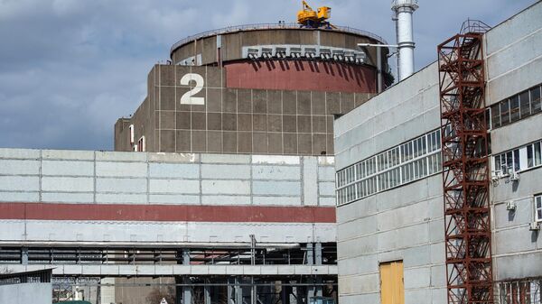 ザポリージャ原発、ウクライナ軍の砲撃で核燃料貯蔵庫の屋根が破壊 - Sputnik 日本