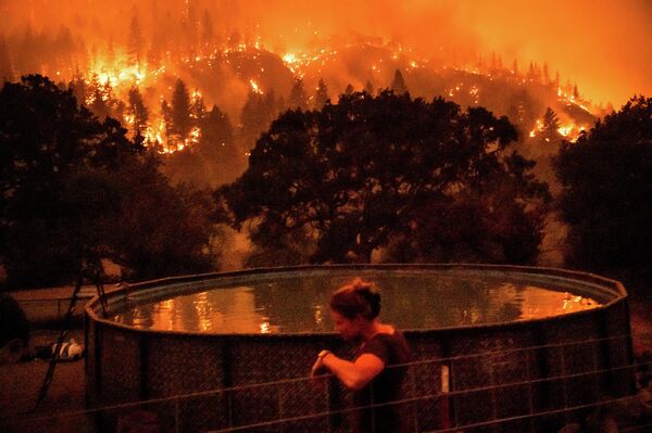 クラマス国有林で発生した森林火災（米カリフォルニア州、30日） - Sputnik 日本