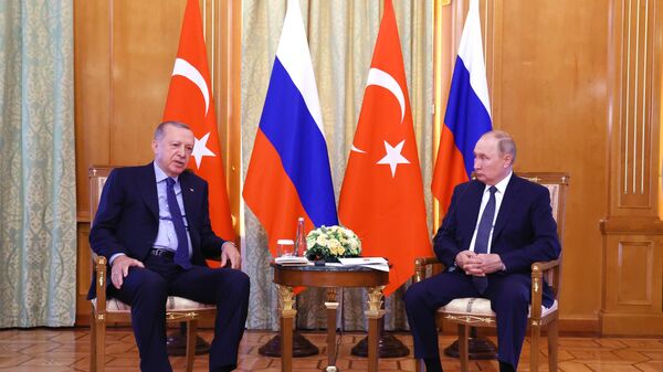 トルコのエルドアン大統領、ロシアのプーチン大統領 - Sputnik 日本