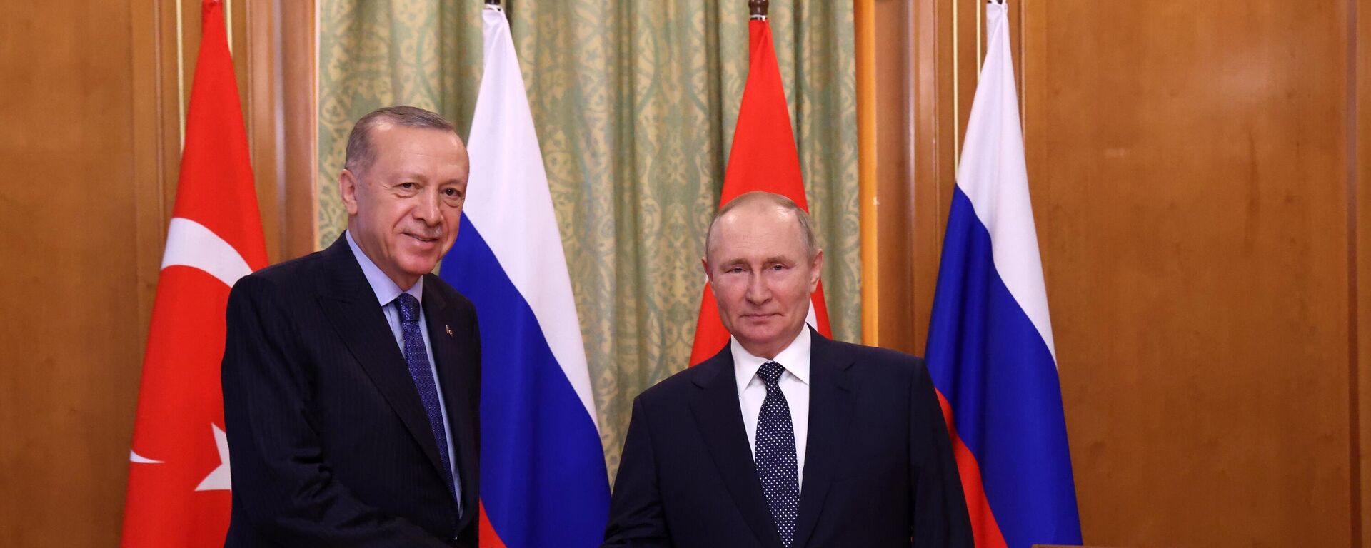 プーチン大統領、トルコのエルドアン大統領と会談 - Sputnik 日本, 1920, 06.08.2022