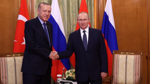 プーチン大統領とエルドアン大統領 - Sputnik 日本