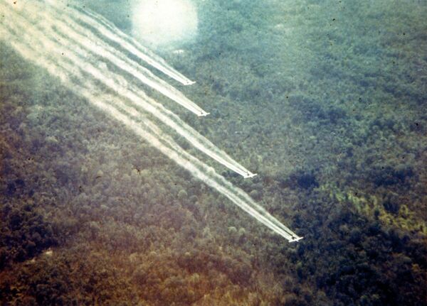 枯葉剤を散布する4機の米軍機 - Sputnik 日本