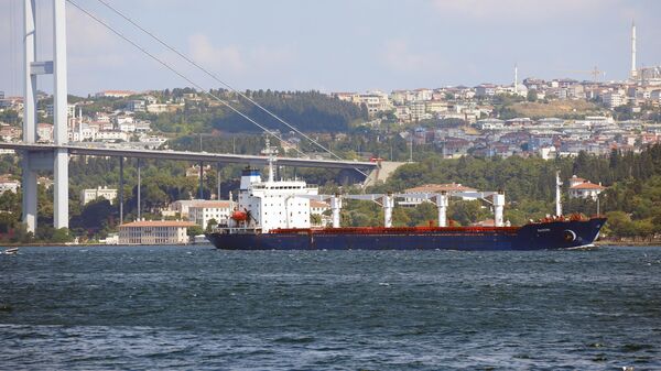 イスタンブールでウクライナの穀物を積んだラゾーニド船 - Sputnik 日本
