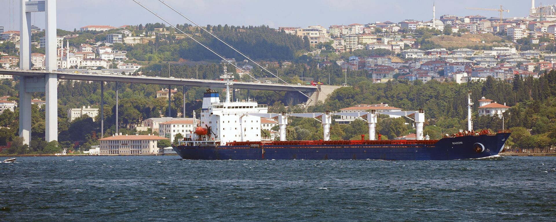 イスタンブールでウクライナの穀物を積んだラゾーニド船 - Sputnik 日本, 1920, 01.11.2022