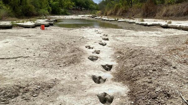 ダイナソーバレー州立公園の川底から露出した約1億1300万年前の恐竜の足跡（米テキサス州、8月） - Sputnik 日本