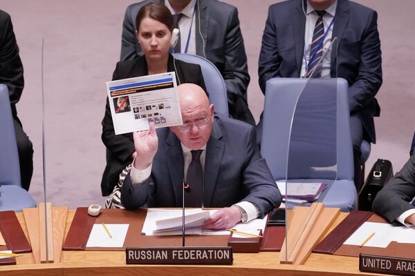 国連本部での安保理の会合で、爆殺されたロシア人ジャーナリスト、ダリア・ドゥギナ氏の写真を掲げるワシリー・ネベンジャ国連大使（米ニューヨーク、23日） - Sputnik 日本