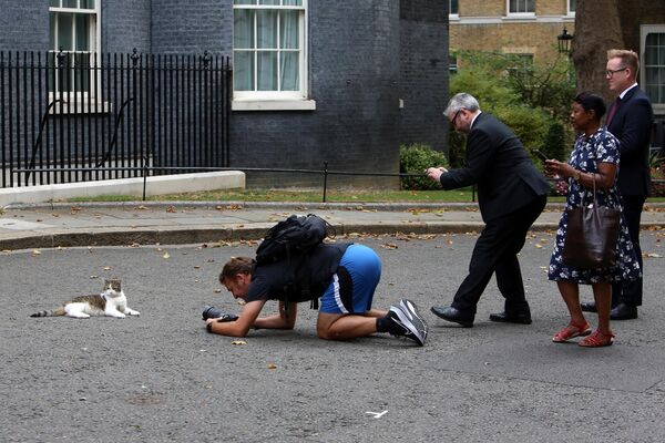 ダウニング街10番地（首相官邸）でネズミ捕獲長のラリーの写真を撮影するカメラマン（英ロンドン、24日） - Sputnik 日本