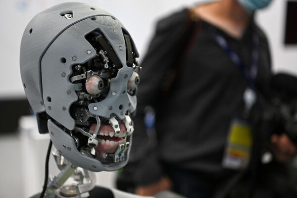 ディスカッションプラットフォーム「Territory of Innovation」のブースに展示されているロボット・プロモーター「アレックス」（ロシア・ウラジオストク、5日） - Sputnik 日本