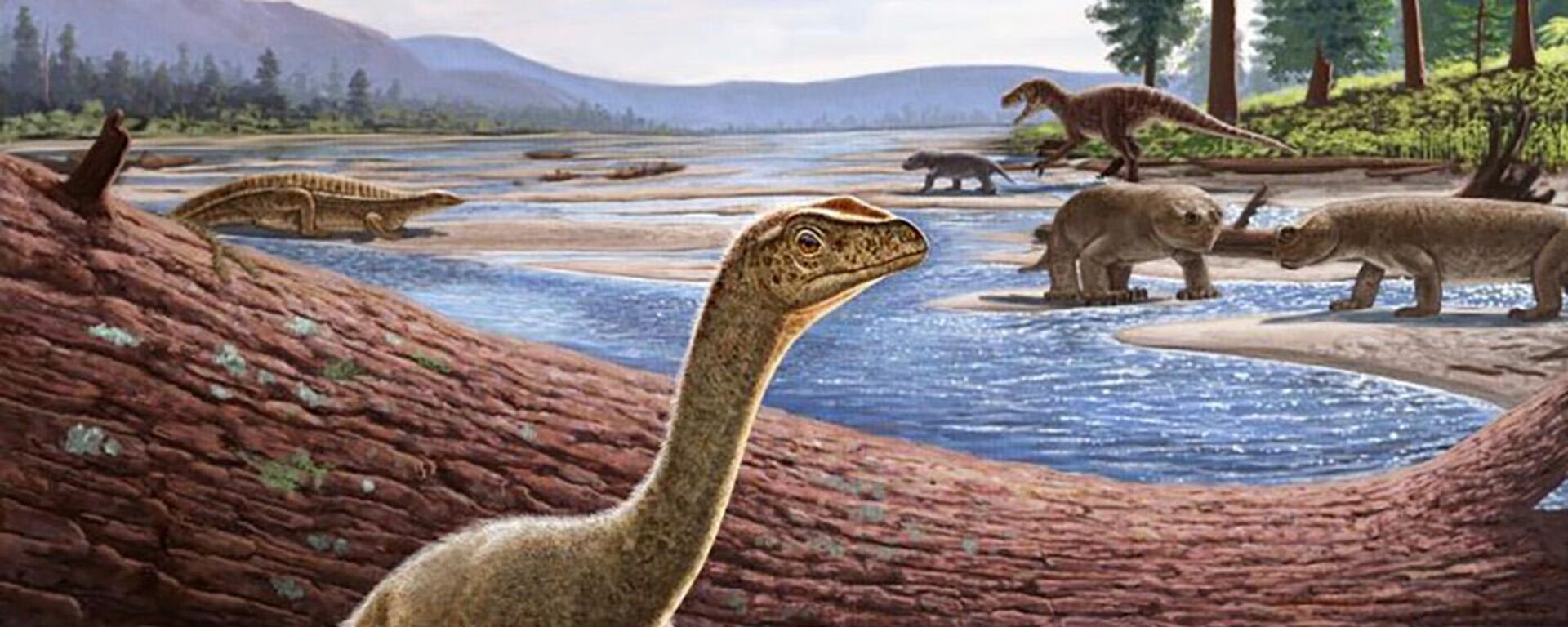 ジンバブエ　アフリカ最古の恐竜の化石が見つかる - Sputnik 日本, 1920, 05.09.2022