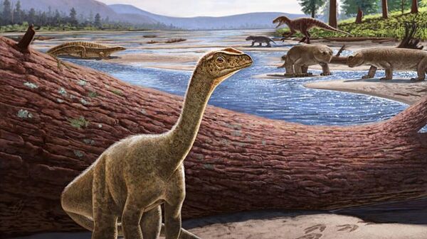 ジンバブエ　アフリカ最古の恐竜の化石が見つかる - Sputnik 日本
