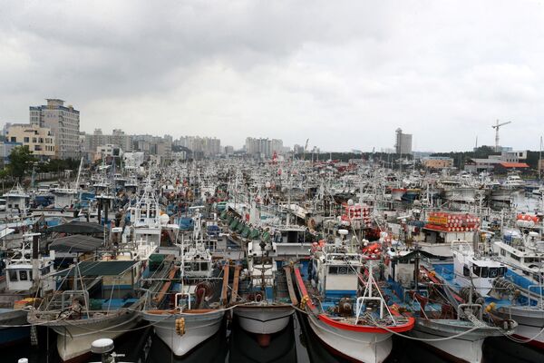 避難港に係留される漁船（韓国・浦項（ポハン）、6日） - Sputnik 日本