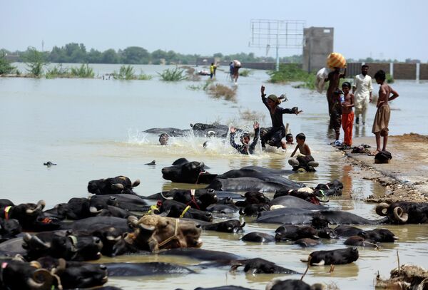 豪雨で冠水した場所を泳ぐ子どもたち（パキスタン・バローチスターン州、3日） - Sputnik 日本