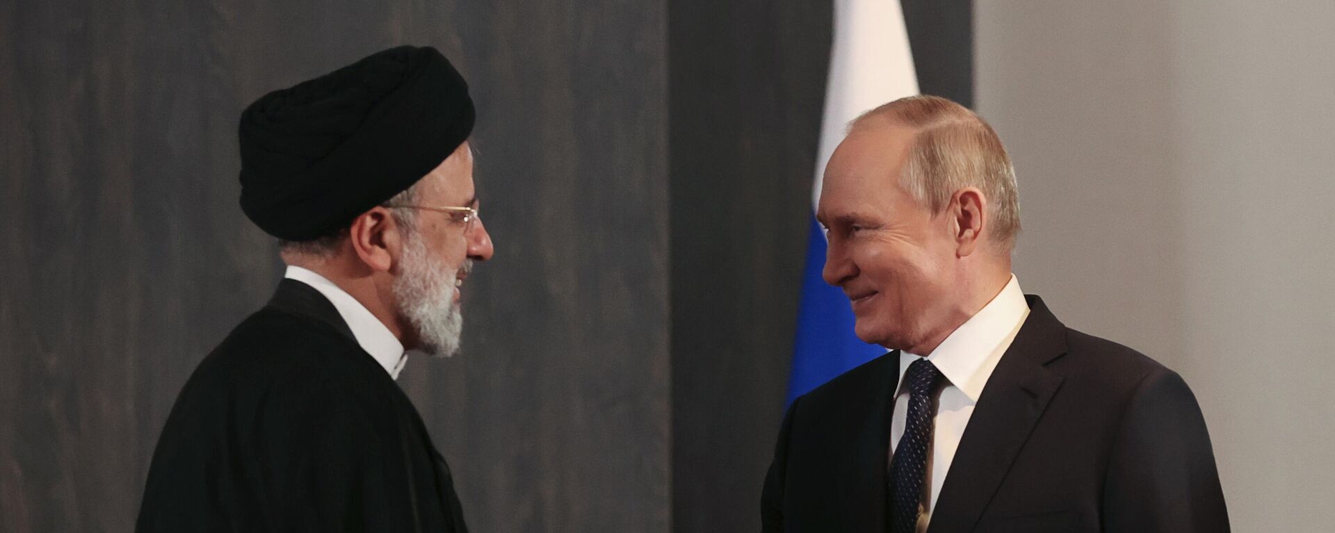 ロシアとイランの首脳会談、政治経済分野での協力強化を確認 - Sputnik 日本, 1920, 13.11.2022