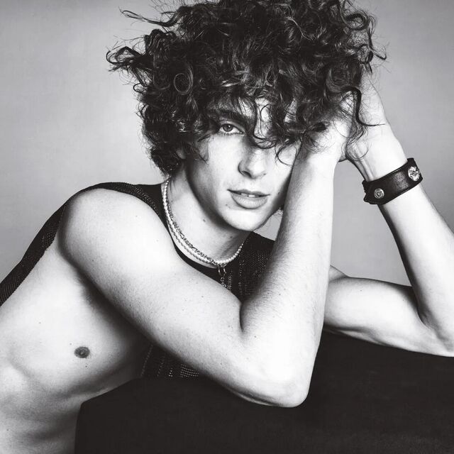 ティモシー ・シャラメ表紙＋特集　DAZED  オマケでVOGUE 米俳優が英誌「ヴォーグ」の表紙に 男性が表紙を飾るのは初