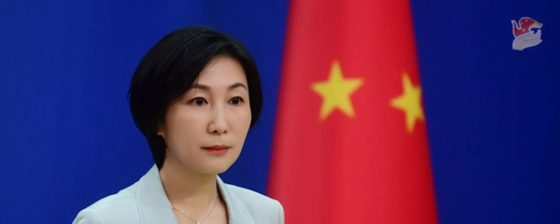 中国外務省の毛寧（マオ・ニン）報道官 - Sputnik 日本, 1920, 06.12.2022