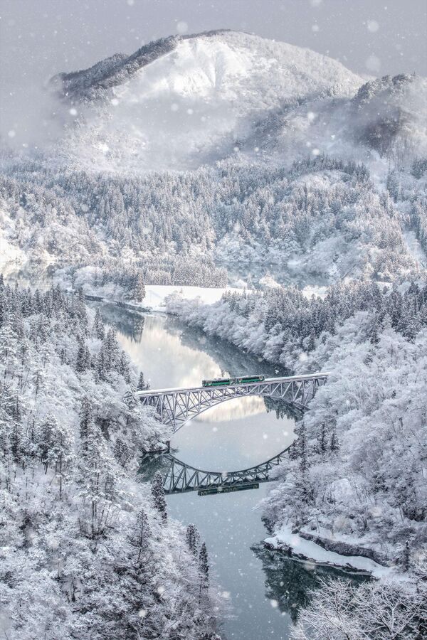 ノンプロフェッショナル部門「Nature Photographer Of the Year」受賞作品『Tadami Line in winter』　Takeshi Kameyama氏（日本）  - Sputnik 日本