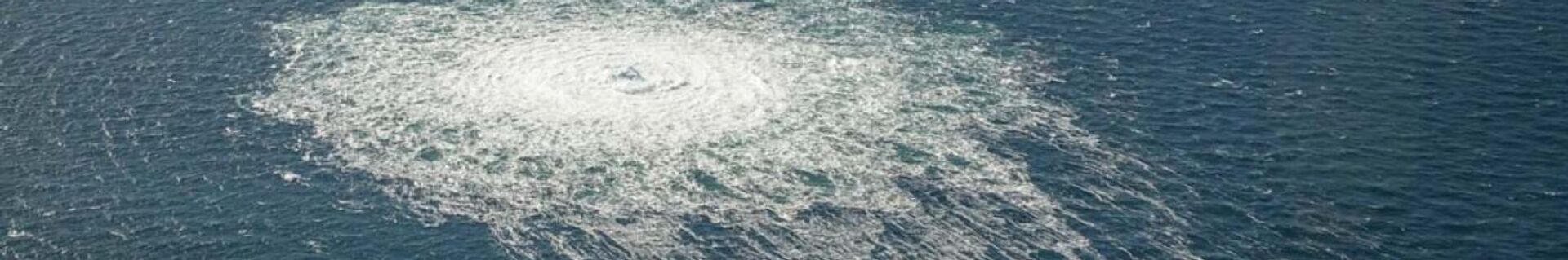 【解説】ノルドストリームの破壊工作 ロシアは透明性のある徹底的な調査を行わせることができるか 2023年2月22日, Sputnik 日本