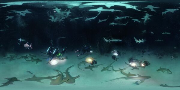 「VR / 360」部門1位入賞作品『Night diving with 100 nurse sharks』　Oleg Gaponyuk氏（ロシア） - Sputnik 日本
