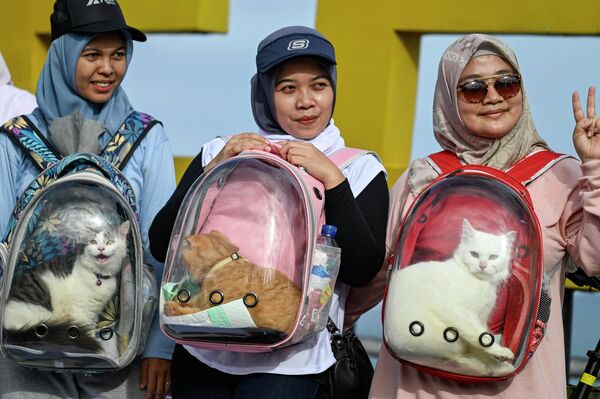 世界動物デーを前にした動物保護キャンペーンに猫と一緒に参加する人々（インドネシア・アチェ州、4日） - Sputnik 日本