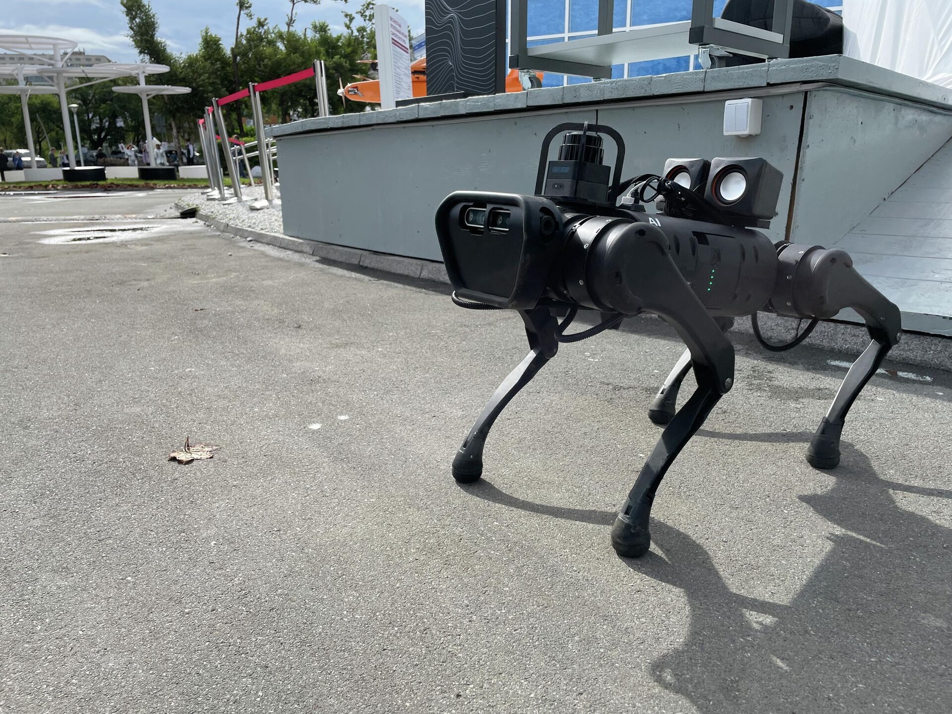 人の顔を認識する犬型ロボットは来場者に大人気 - Sputnik 日本, 1920, 18.10.2022