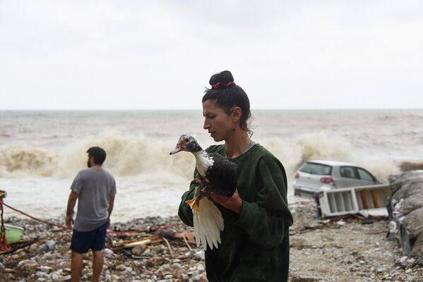 激しい雷雨の後、浜辺で鳥を助ける女性（ギリシャ・クレタ島、15日） - Sputnik 日本