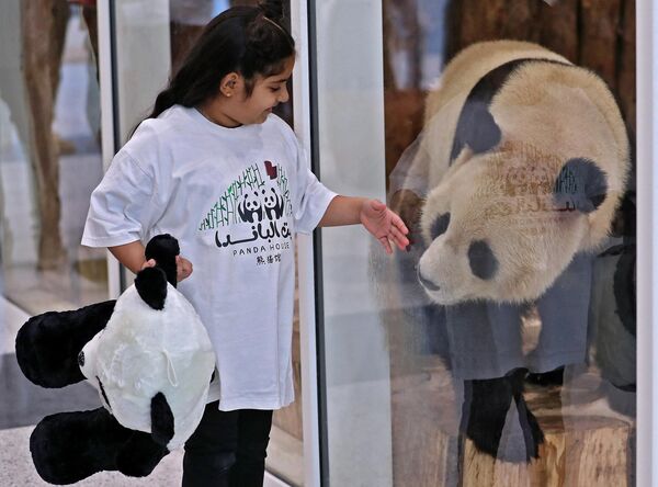 ガラス越しに中国のジャイアントパンダとふれあう子ども（カタール・アル・ホール、19日） - Sputnik 日本