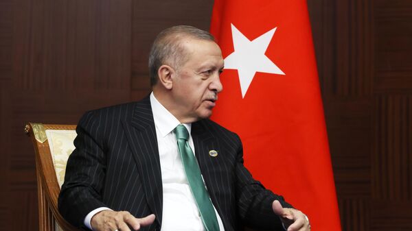トルコのレジェップ・タイイップ・エルドアン大統領 - Sputnik 日本