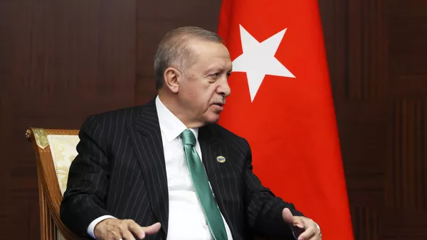 トルコ・エルドアン大統領 - Sputnik 日本