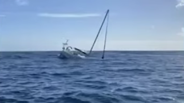 シャチの群れがヨット襲撃、沈む船内から乗組員が避難　ポルトガル - Sputnik 日本