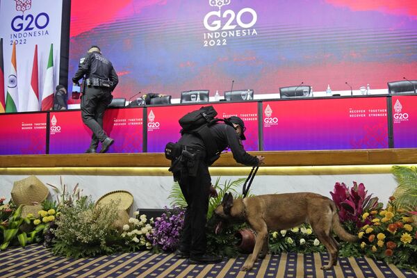 G20サミットの会場で探知犬を連れて警備にあたる大統領警護部隊の隊員（14日） - Sputnik 日本