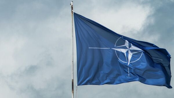 NATOの旗 - Sputnik 日本