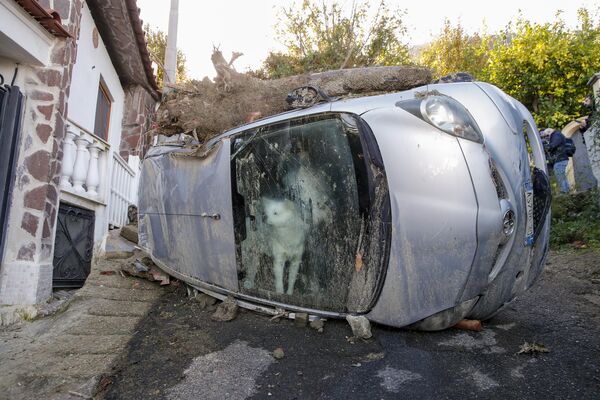 約72時間車の中に閉じ込められる中、救助隊が飼い主を捜索する様子を眺める犬（イタリア・イスキア島、28日） - Sputnik 日本