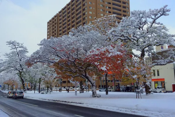雪に覆われた札幌市 - Sputnik 日本