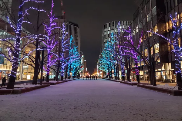 雪に覆われた札幌市 - Sputnik 日本